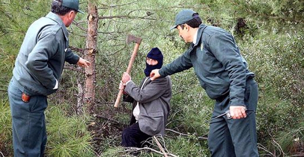 Orman Bakanlığı personel alım ilanı! OGM personel alımı iş başvuru şartları nelerdir?