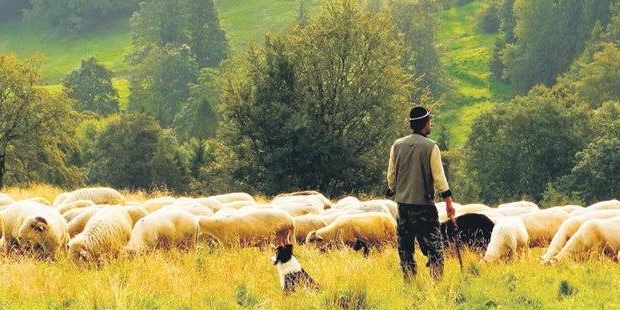 5 Bin TL maaşla 150 bin Afgan çoban getirilecek iddiasına cevap: Biz bıktık!