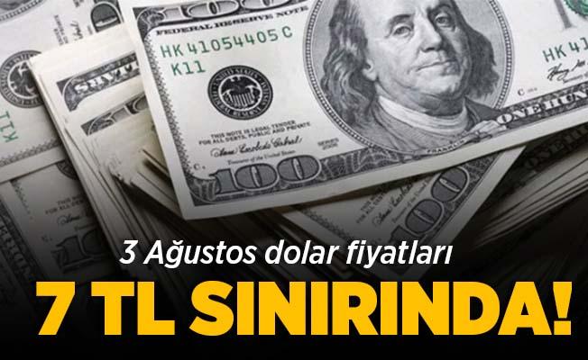 Dolar Fiyatlari 7 Tl Sinirinda 3 Agustos Dolar Kuru Son Durum