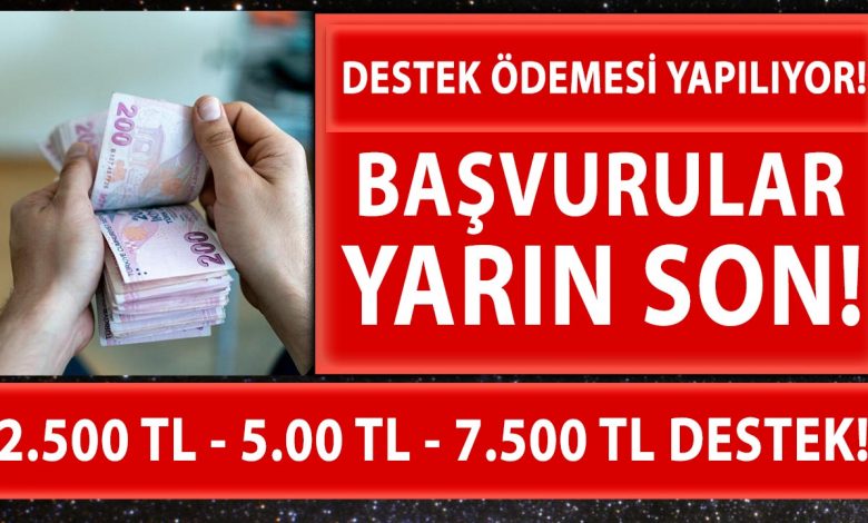 iskur dan universitelilere 2 500 tl destek basvurular yarin sona eriyor